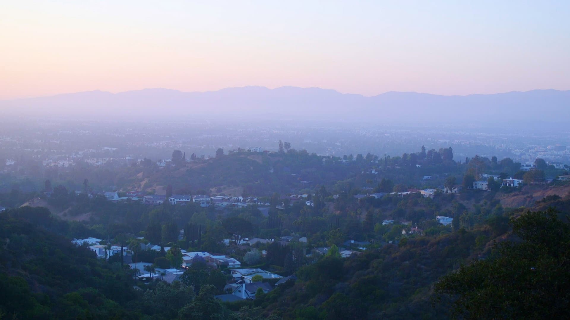 California Schemin'