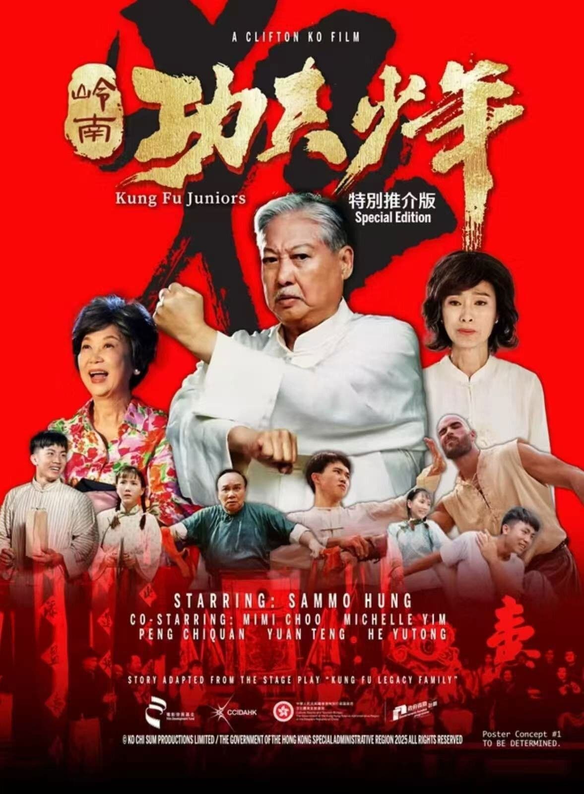 Kung Fu Juniors
