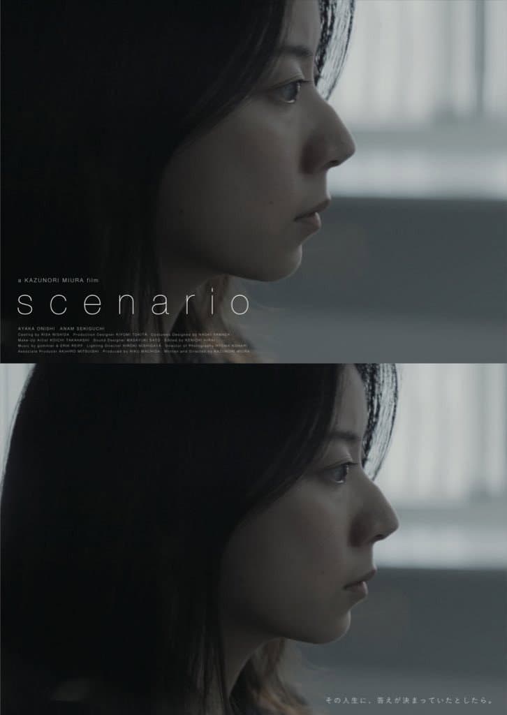 Scenario