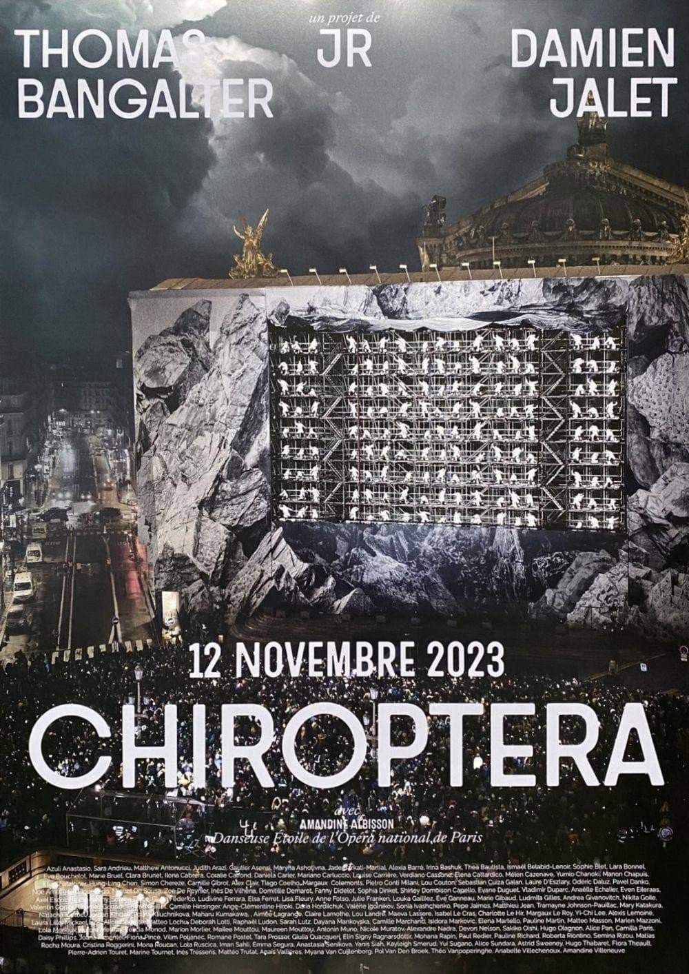 CHIROPTERA