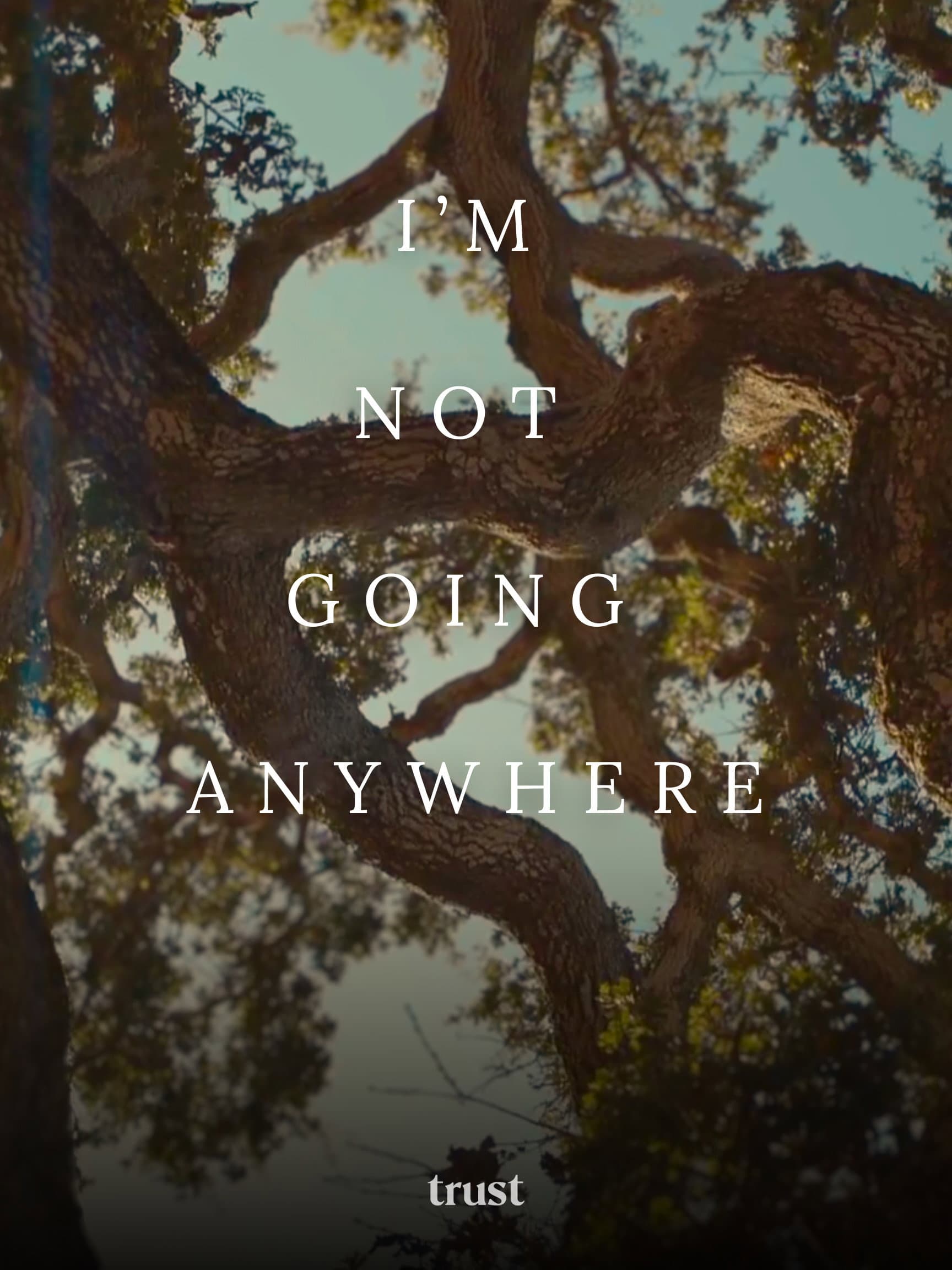 I'm Not Going Anywhere