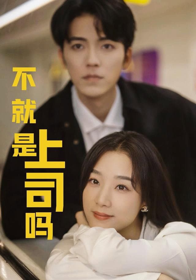 不就是上司吗