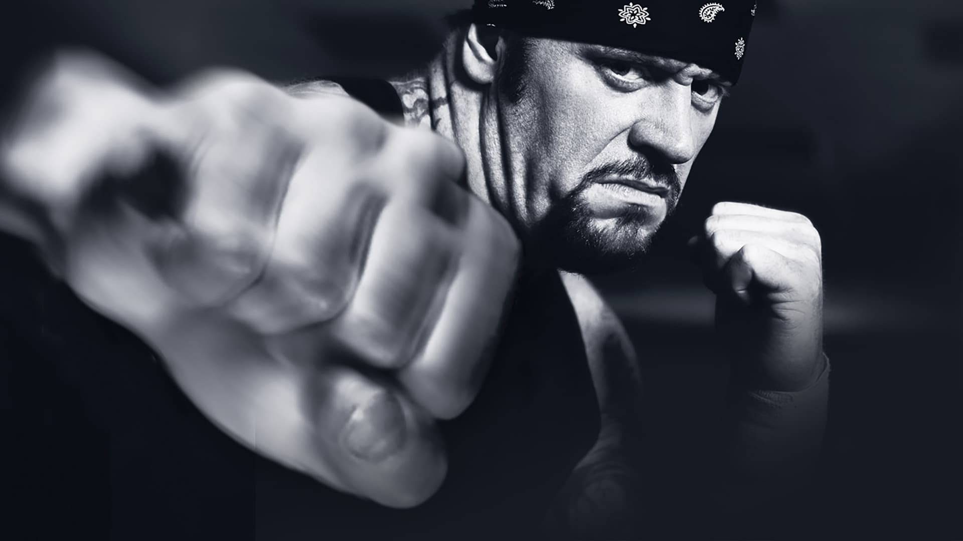 WWE Vengeance 2003
