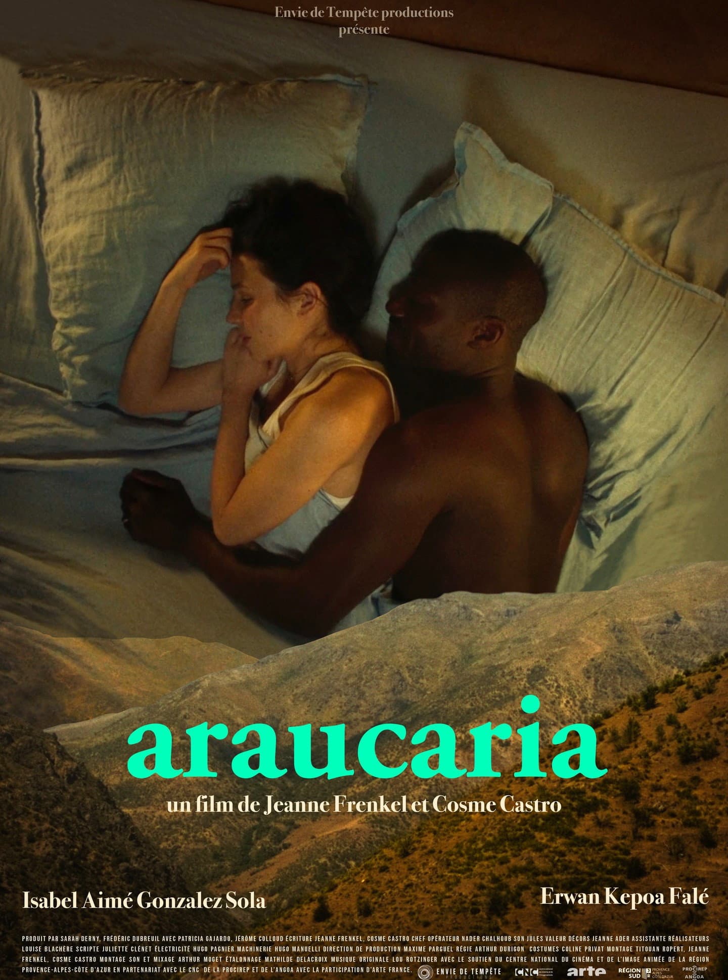 Araucaria
