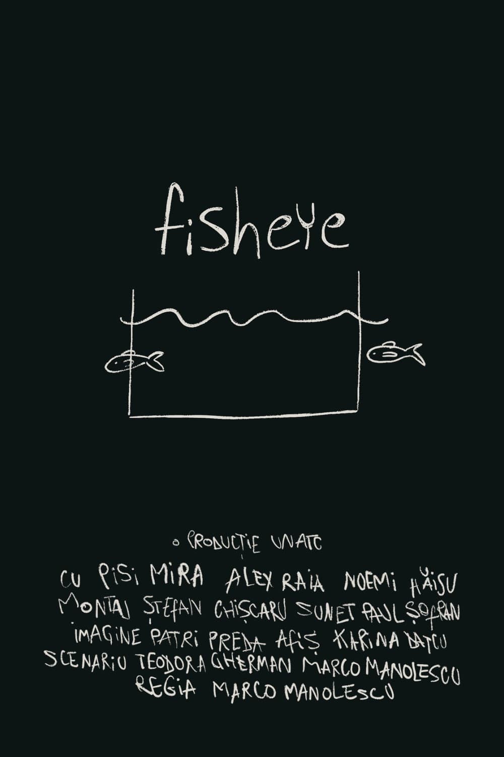fisheye