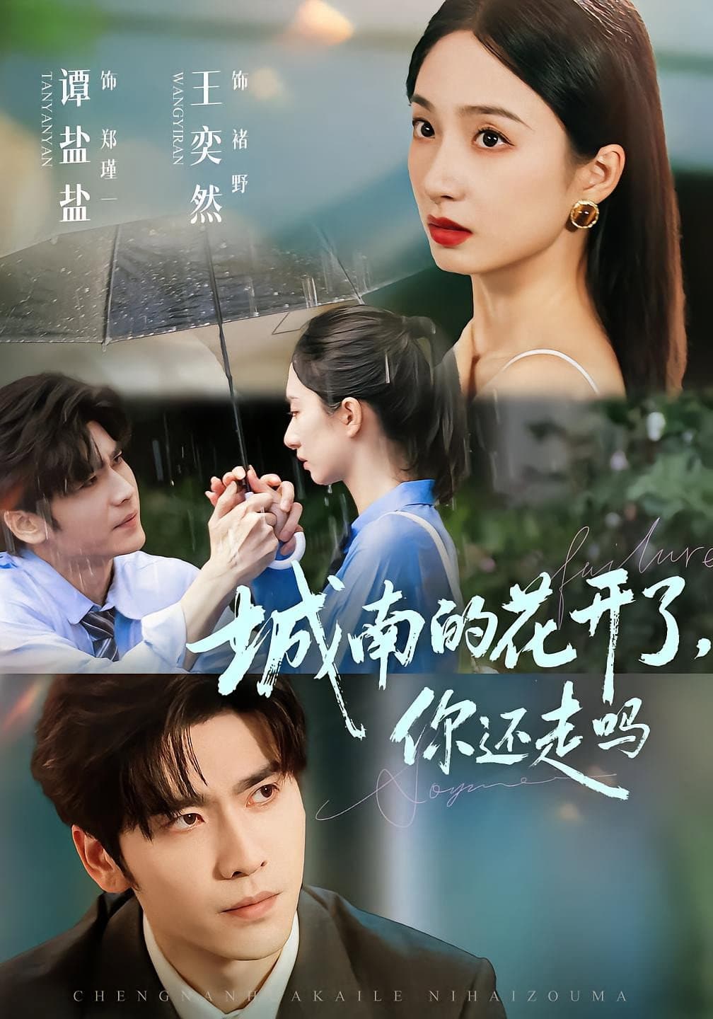 城南的花开了，你还走吗