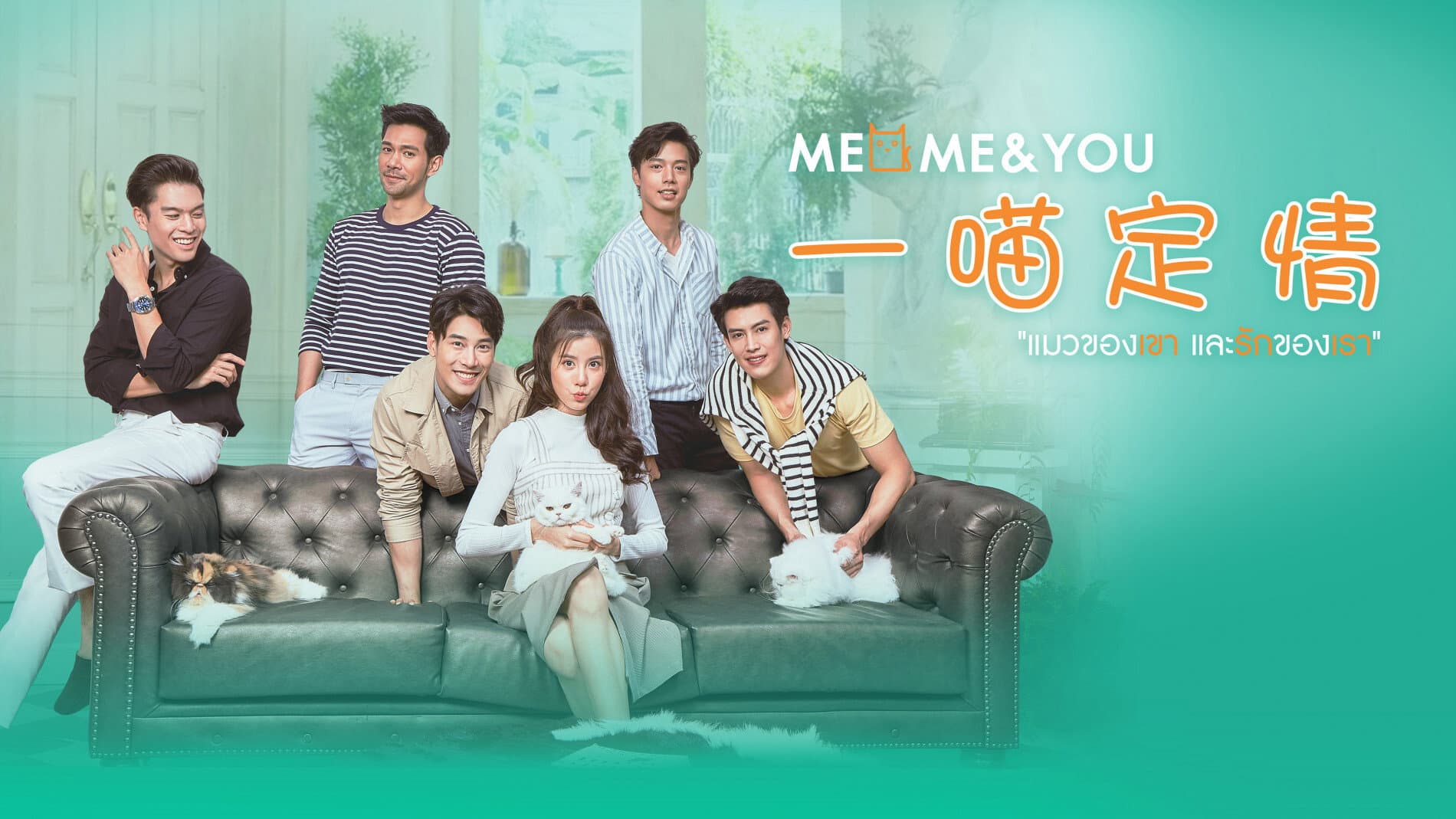 Meo, Me & You
