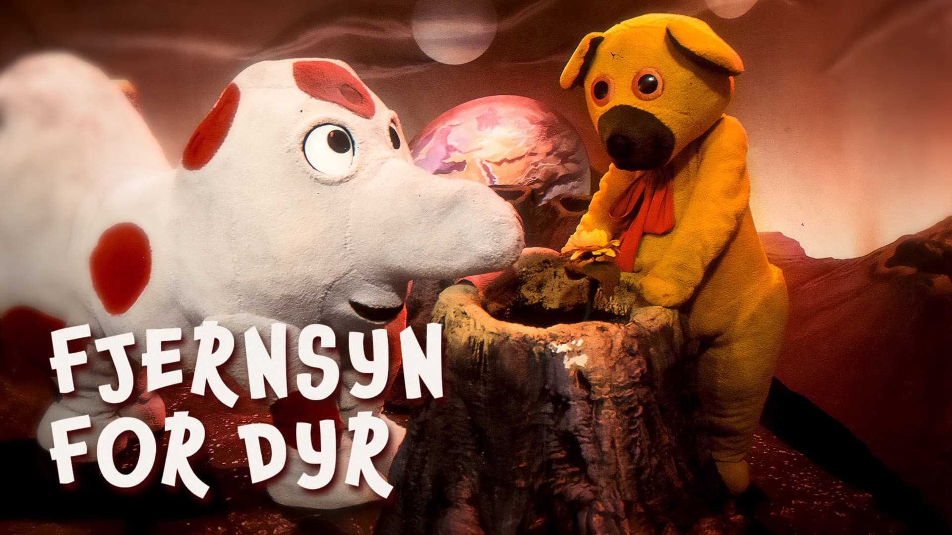 Bamse on the Planet