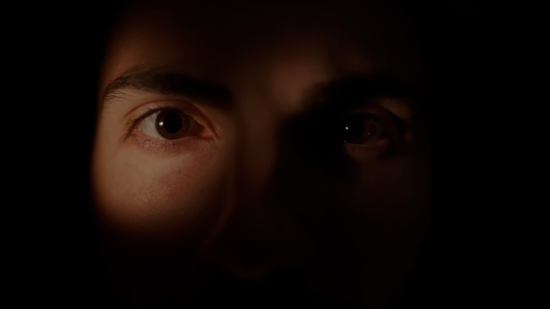 The Second Self