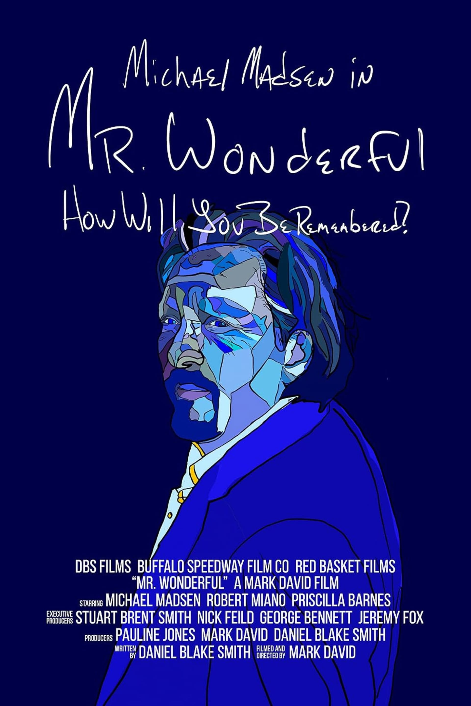 Mr. Wonderful