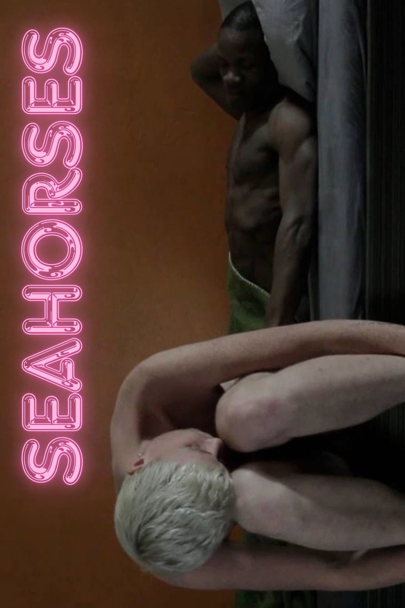 Seahorses