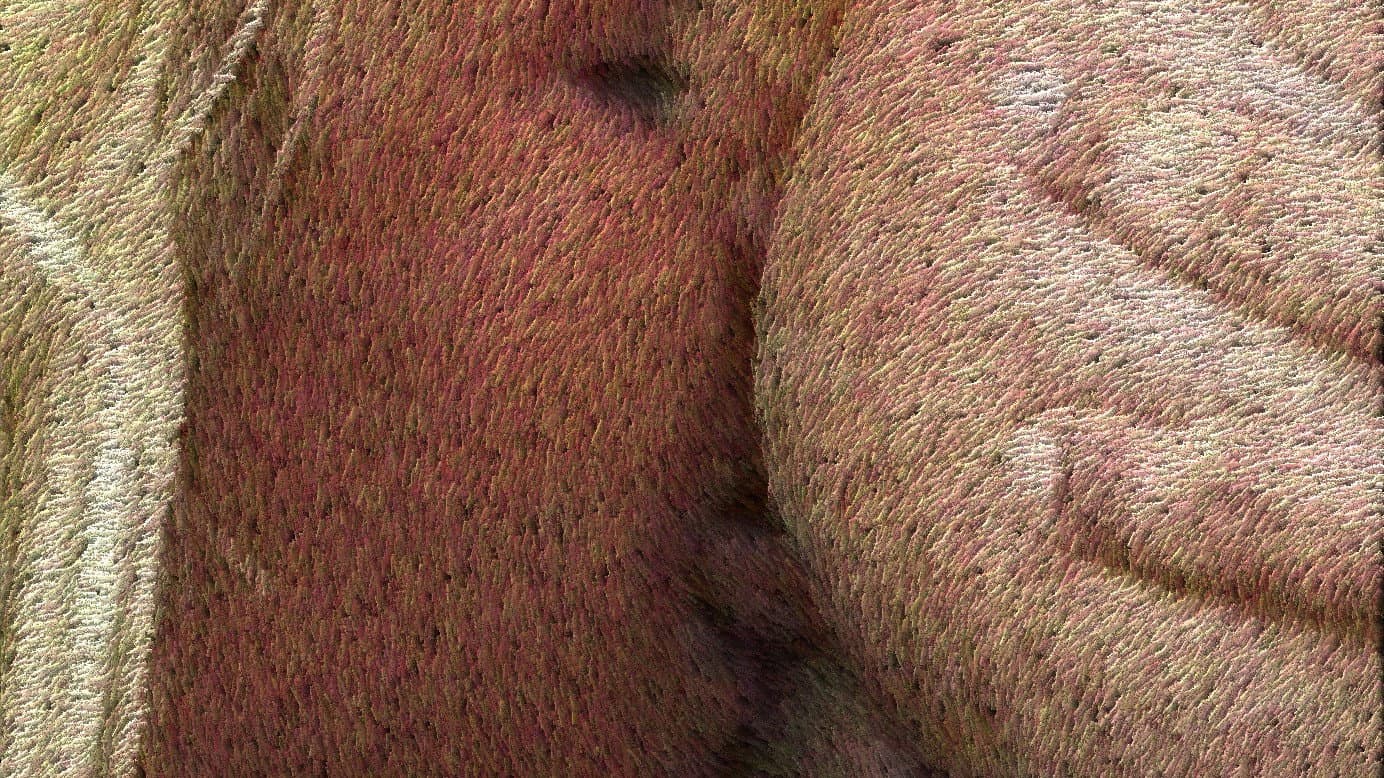 Rough Sex 2