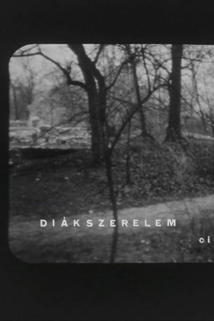 Diákszerelem