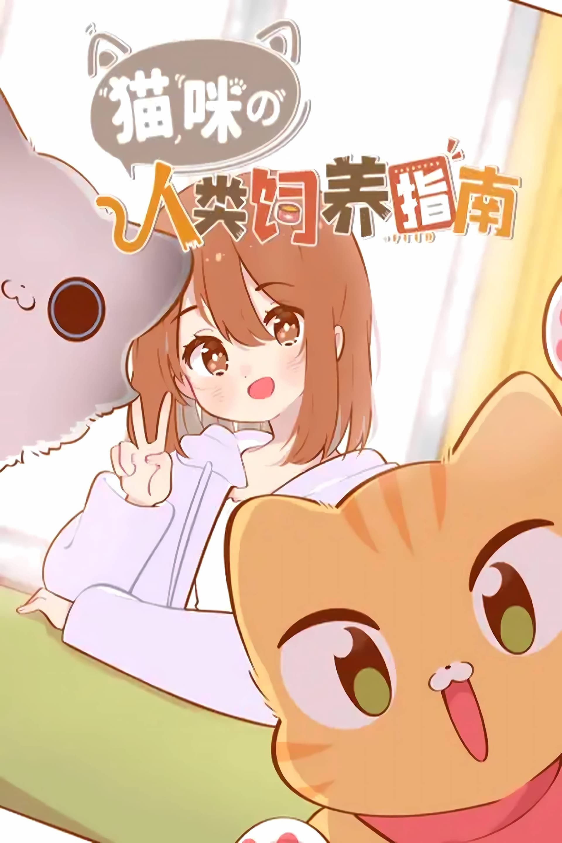 猫咪的人类饲养指南 动态漫