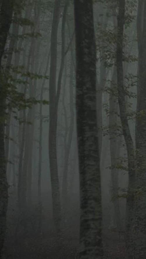 Refuge II: The Ice Path